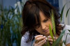 Photo: Erin Mark, Research Associate, Heartland Plant Innovations.