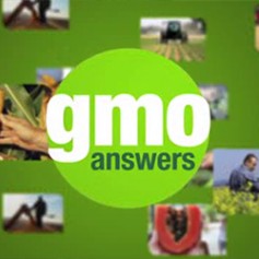 GMO Answers was created to do a better job answering your questions — no matter what they are — about GMOs. 