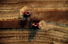 Wheat harvest photo by Jim Richardson.