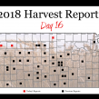 Day 16, Kansas Wheat Harvest Report 2018