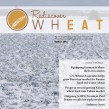 wheat, Kansas Wheat