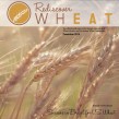 wheat, Kansas Wheat, Rediscover Wheat