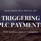 2019_2020_mya_prices_set.png