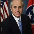 220px-bobcorker.jpg