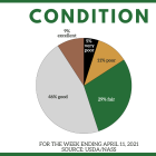 _041121_winter_wheat_conditions_1.png