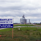 bartlett_grain.jpg