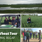 copy_of_copy_of_wheat_tour.png