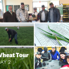 copy_of_wheat_tour_1.png