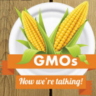 gmos_0.jpg