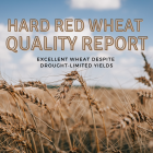 hard_red_wheat_quality_report.png