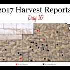 harvest-report-day-10.png