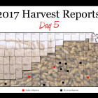 harvest-report-day-5.jpg