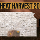 harvest_day_1.png