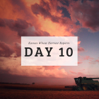 harvest_day_10.png