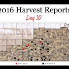 harvest_report_day_10.jpg