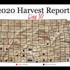 harvest_report_day_10.png