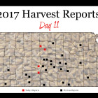 harvest_report_day_11.jpg