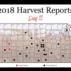 harvest_report_day_11.png