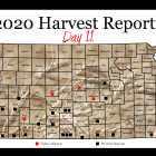 harvest_report_day_11_0.png