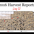harvest_report_day_12.jpg