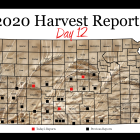 harvest_report_day_12.png