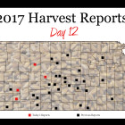 harvest_report_day_12_0.jpg