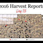 harvest_report_day_13.jpg
