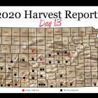 harvest_report_day_13.png