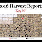 harvest_report_day_14.jpg