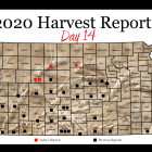 harvest_report_day_14.png