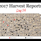 harvest_report_day_14_0.jpg