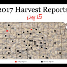 harvest_report_day_15.jpg