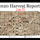 harvest_report_day_15.png