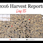 harvest_report_day_15_2.jpg