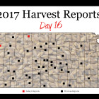 harvest_report_day_16.jpg