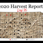 harvest_report_day_16.png