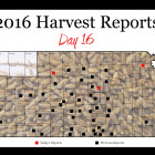 harvest_report_day_16_0.jpg