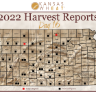 harvest_report_day_16_0.png