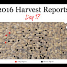 harvest_report_day_17.jpg