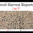 harvest_report_day_18.jpg