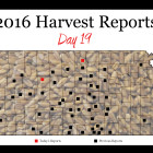harvest_report_day_19.jpg