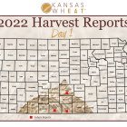 harvest_report_day_1_3.png