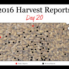 harvest_report_day_20.jpg