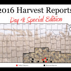 harvest_report_day_4.jpg