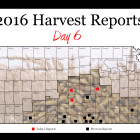 harvest_report_day_6.jpg