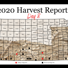 harvest_report_day_8.png
