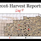 harvest_report_day_9.jpg