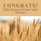 kansas_national_wheat_yield_winners.png