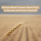 kansas_wheat_farmers_share_keys_to_success_with_state_checkoff.png