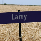 larry.png